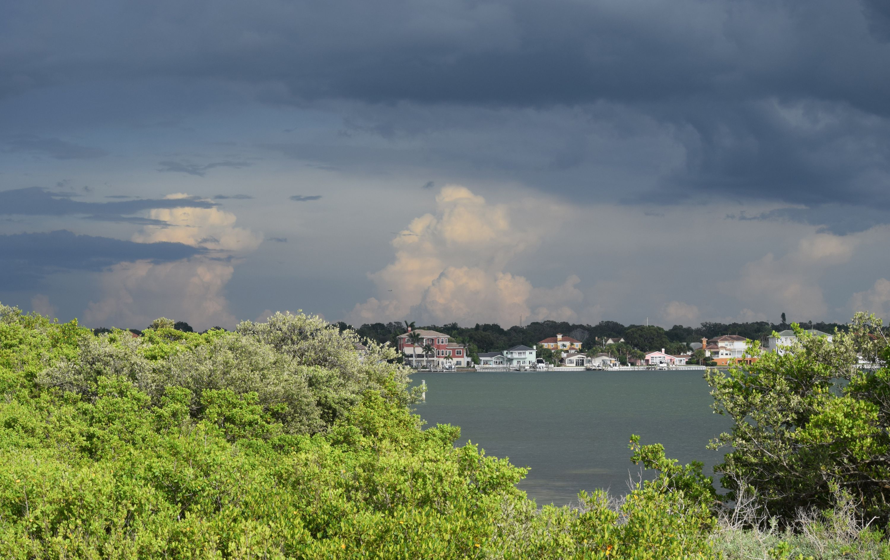 Belleair Bluffs Flshutterstock 1168892023
