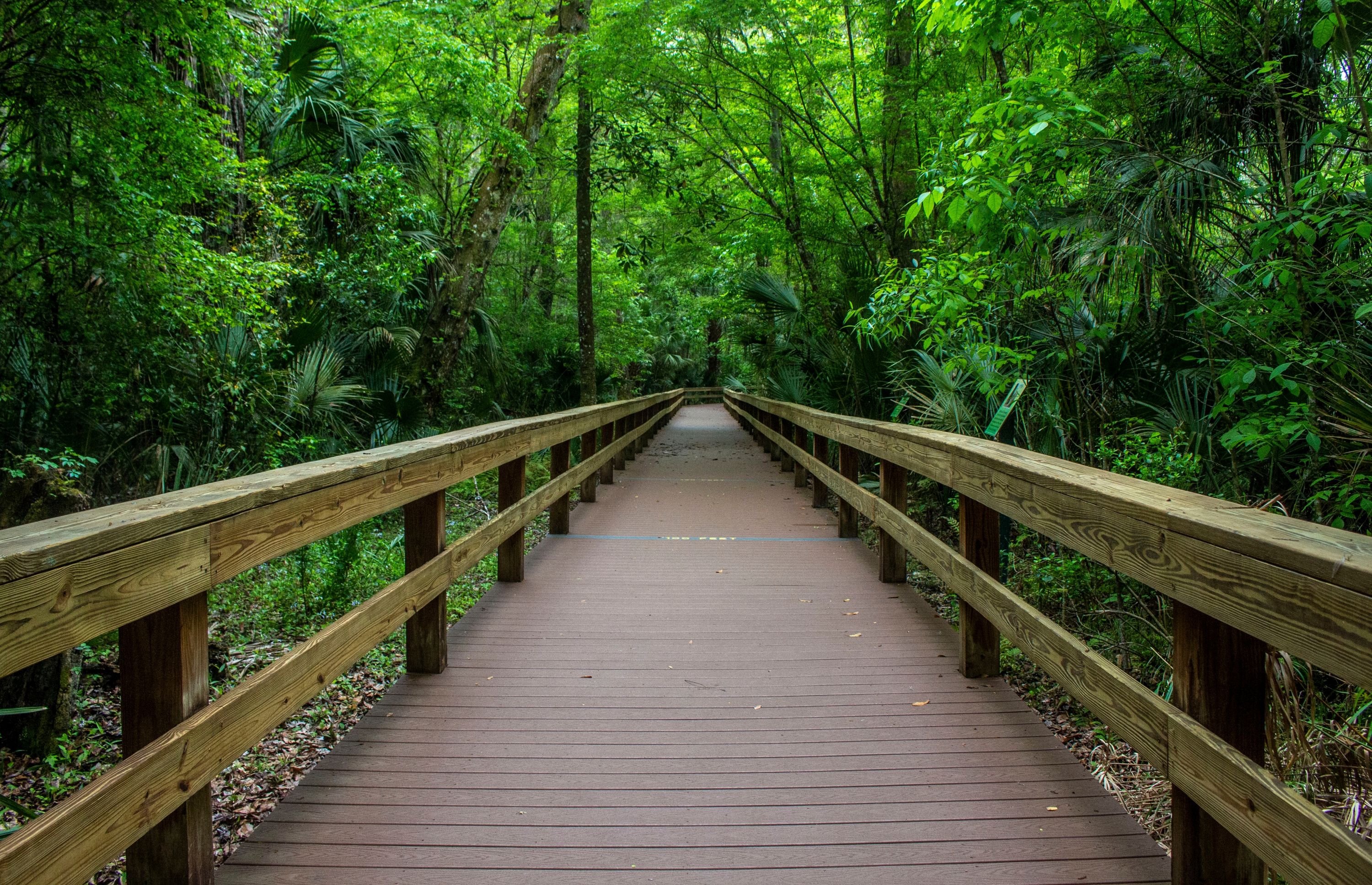 Seminole Shutterstock 2412445667