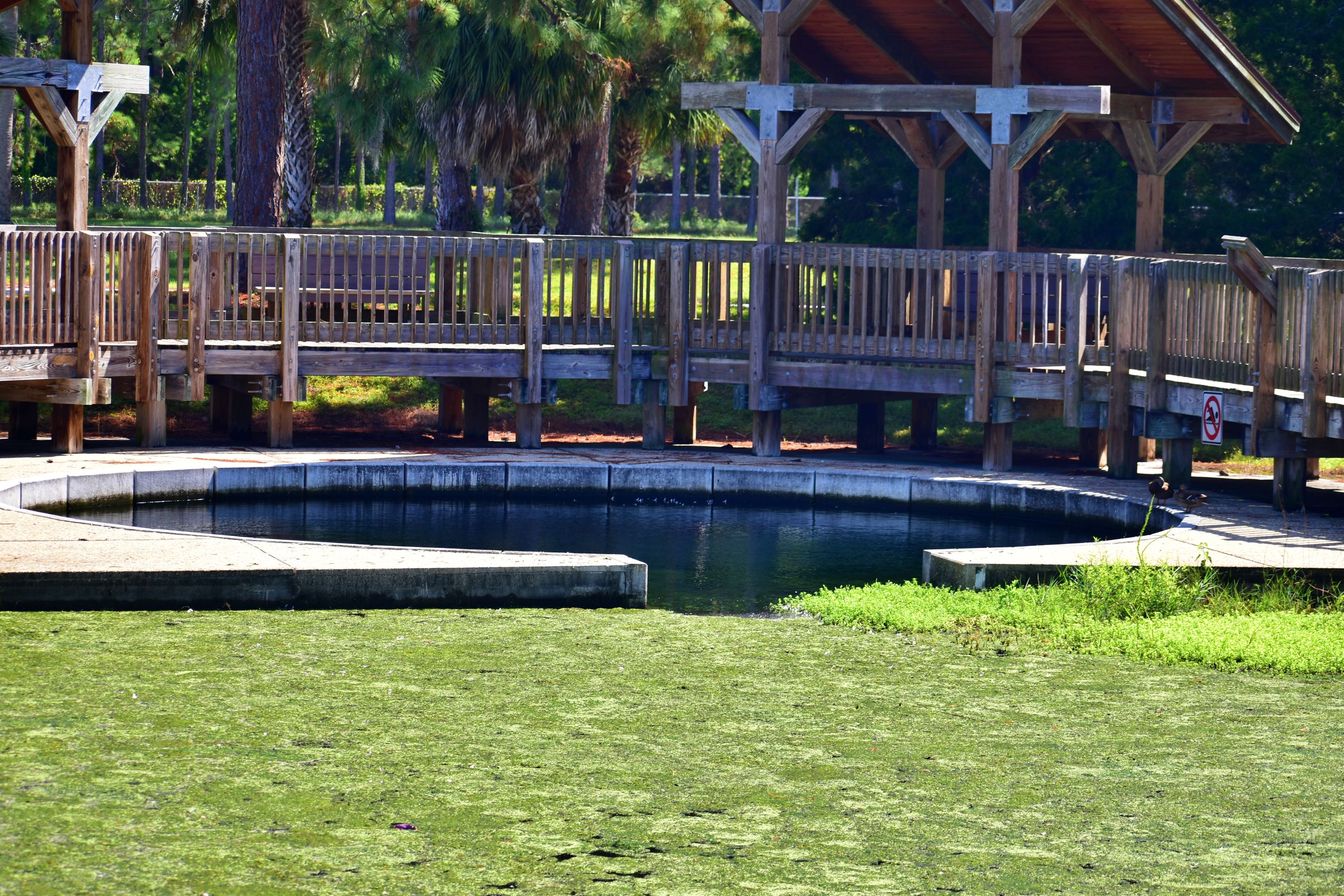 Palm Harbor Shutterstock 1563292129