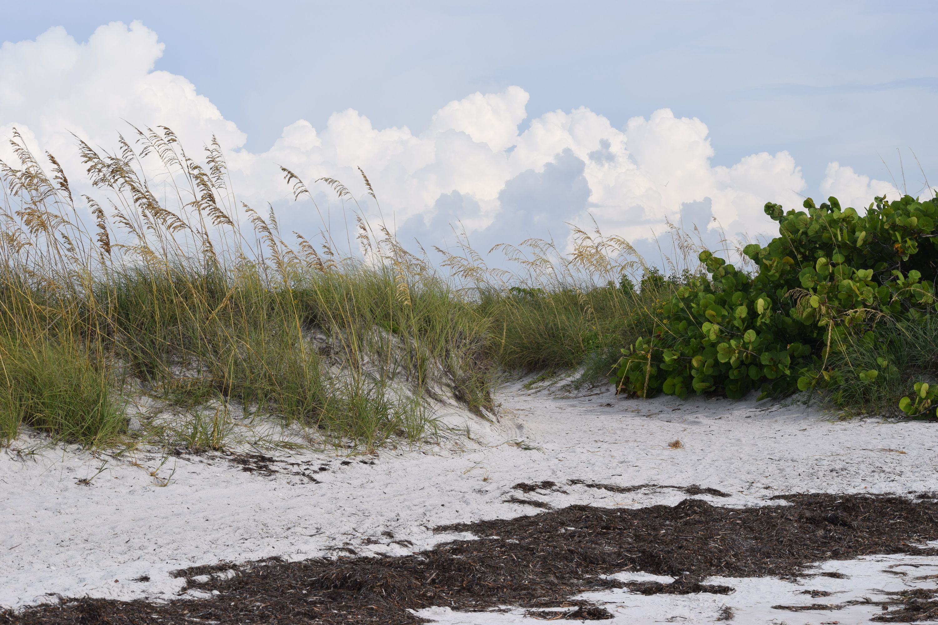 Belleair Beach Shutterstock 1168888741